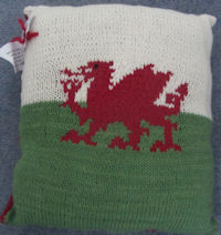 Dragon cushion